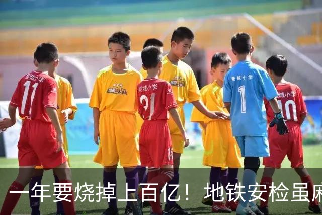 一年要烧掉上百亿！地铁安检虽麻烦，但是却养活几十万人就业